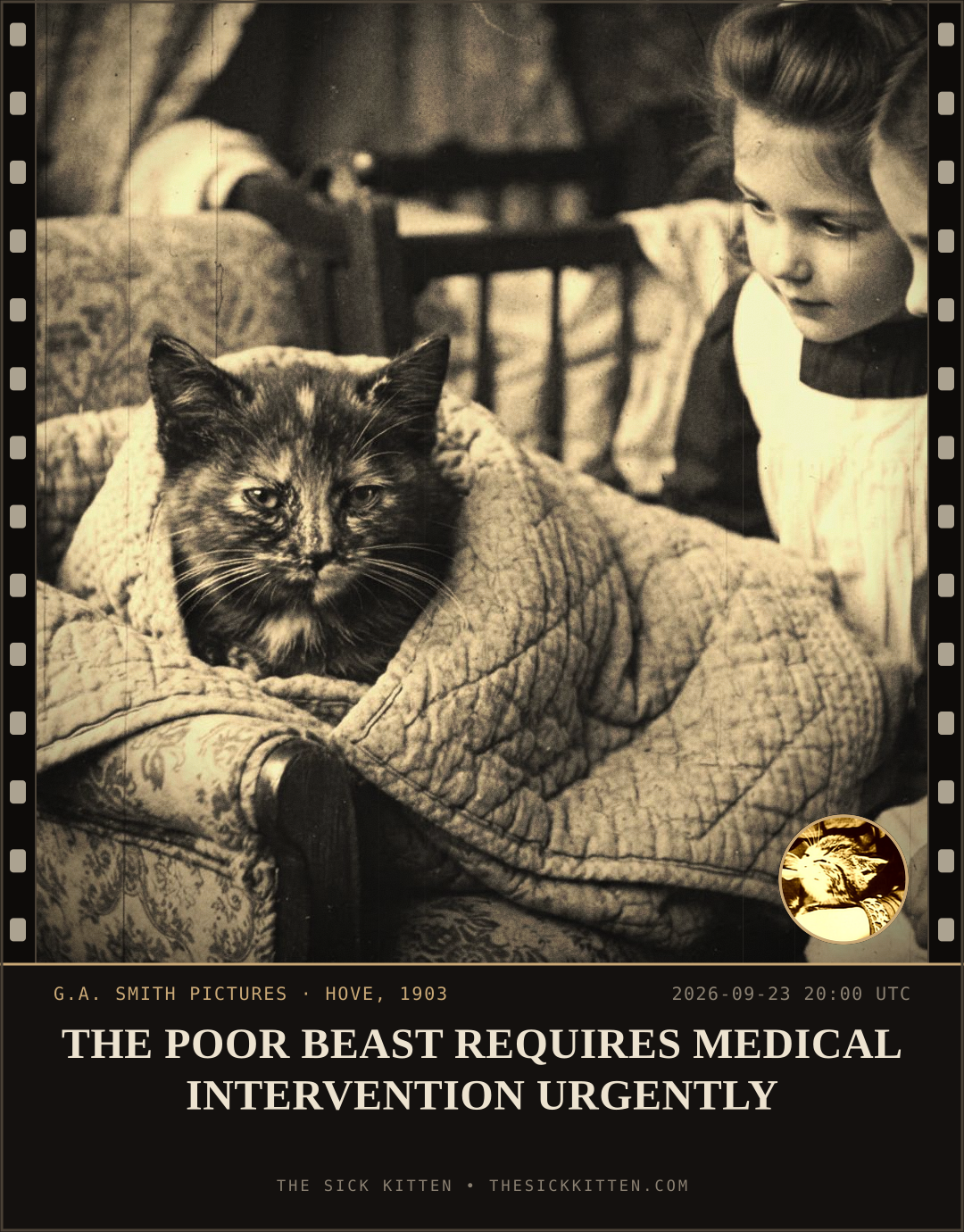 The Sick Kitten, frame no. 1195: THE POOR BEAST REQUIRES MEDICAL INTERVENTION URGENTLY