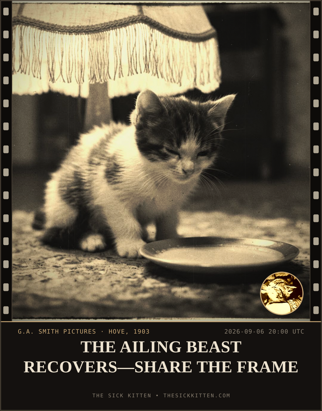 The Sick Kitten, frame no. 1047: THE AILING BEAST RECOVERS—SHARE THE FRAME