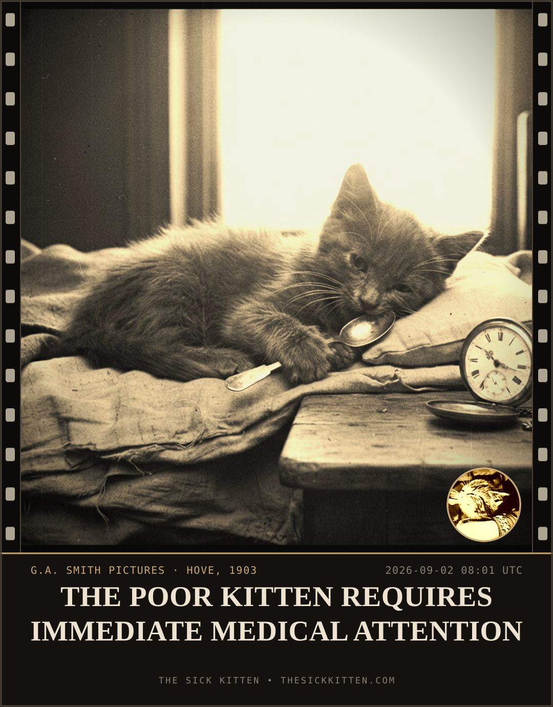 The Sick Kitten, frame no. 1013: THE POOR KITTEN REQUIRES IMMEDIATE MEDICAL ATTENTION