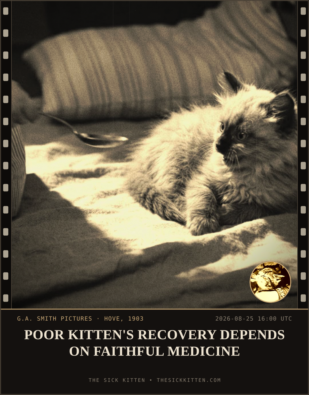The Sick Kitten, frame no. 947: POOR KITTEN'S RECOVERY DEPENDS ON FAITHFUL MEDICINE