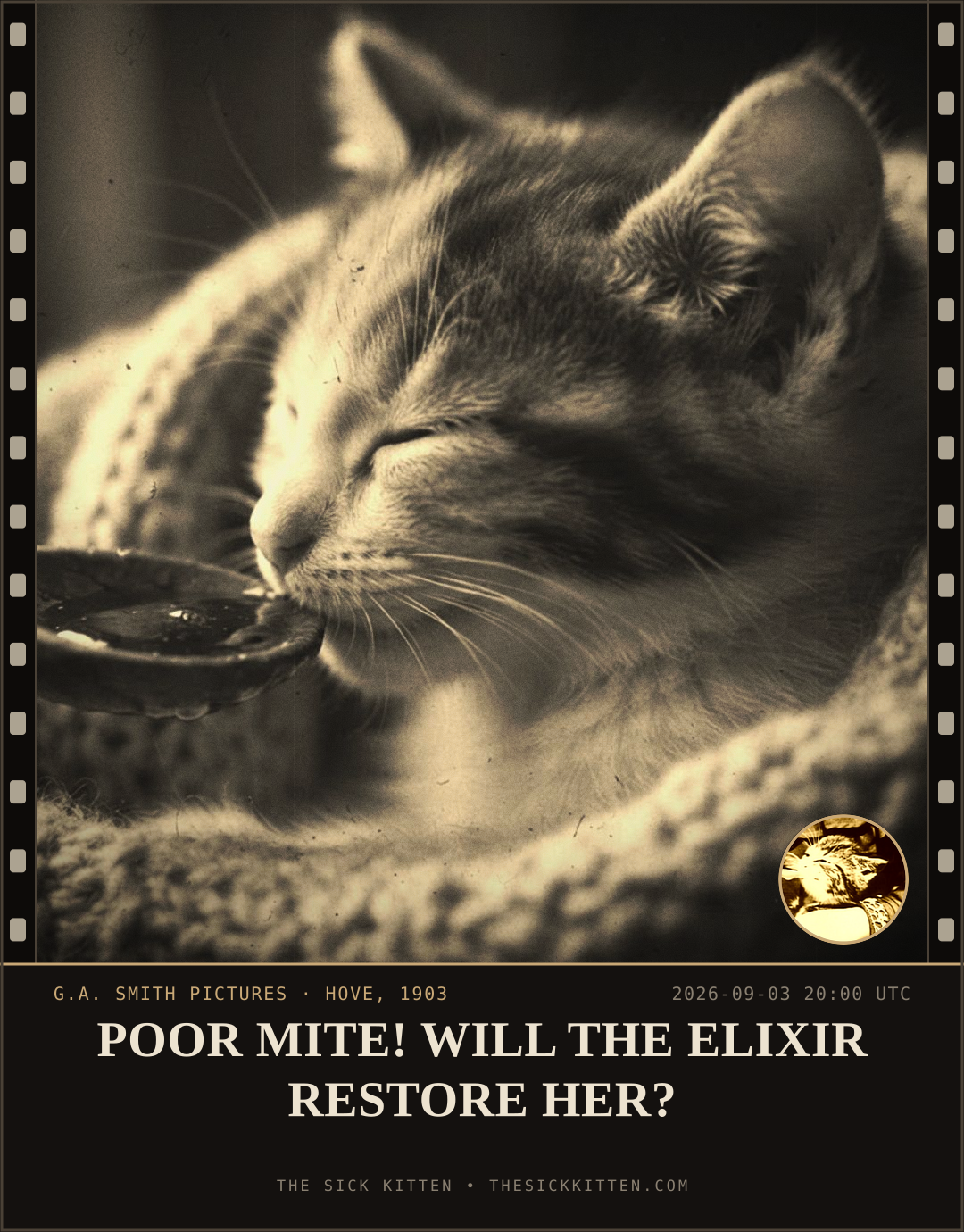 The Sick Kitten, frame no. 1019: POOR MITE! WILL THE ELIXIR RESTORE HER?