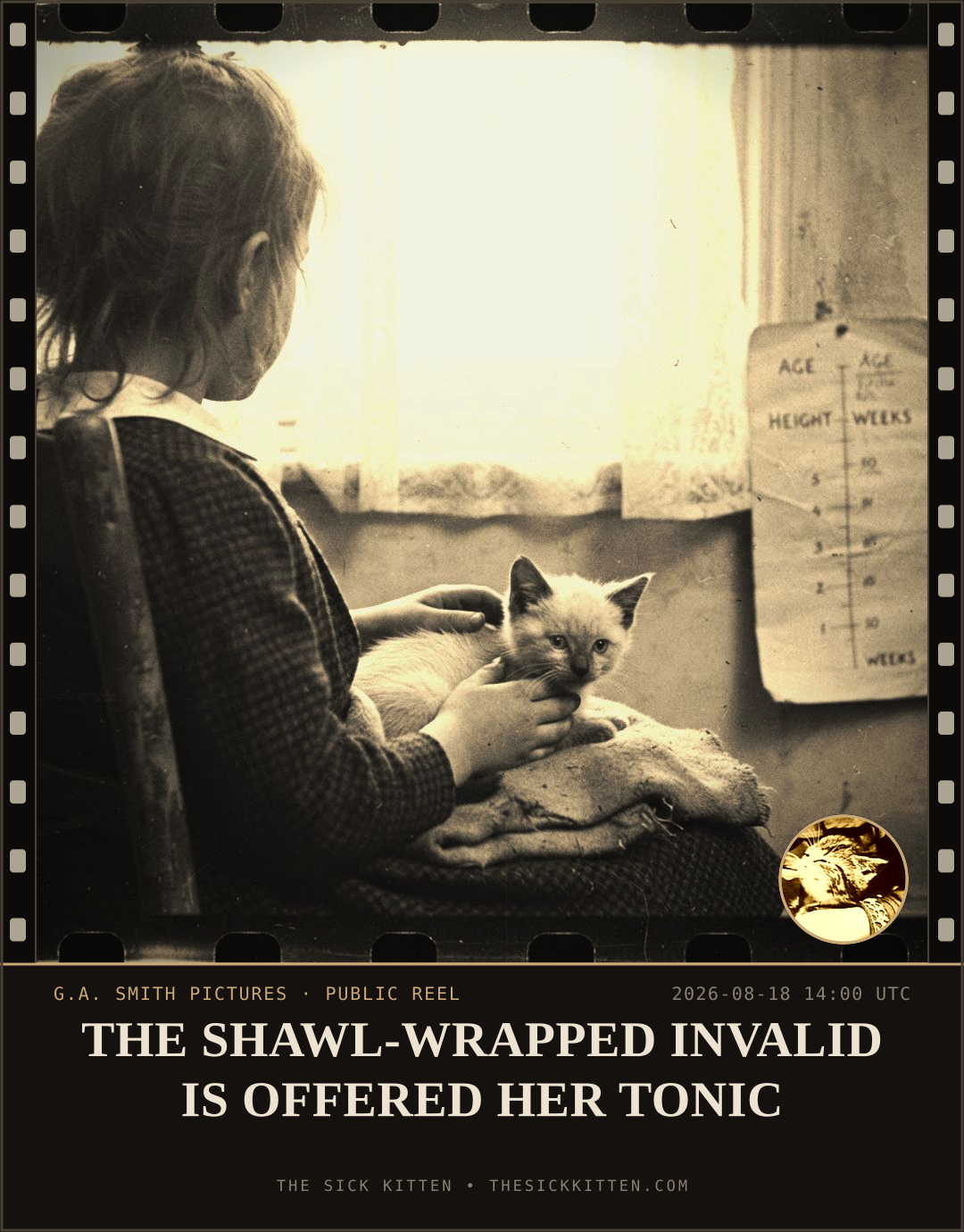 The Sick Kitten, frame no. 937: THE SHAWL-WRAPPED INVALID IS OFFERED HER TONIC