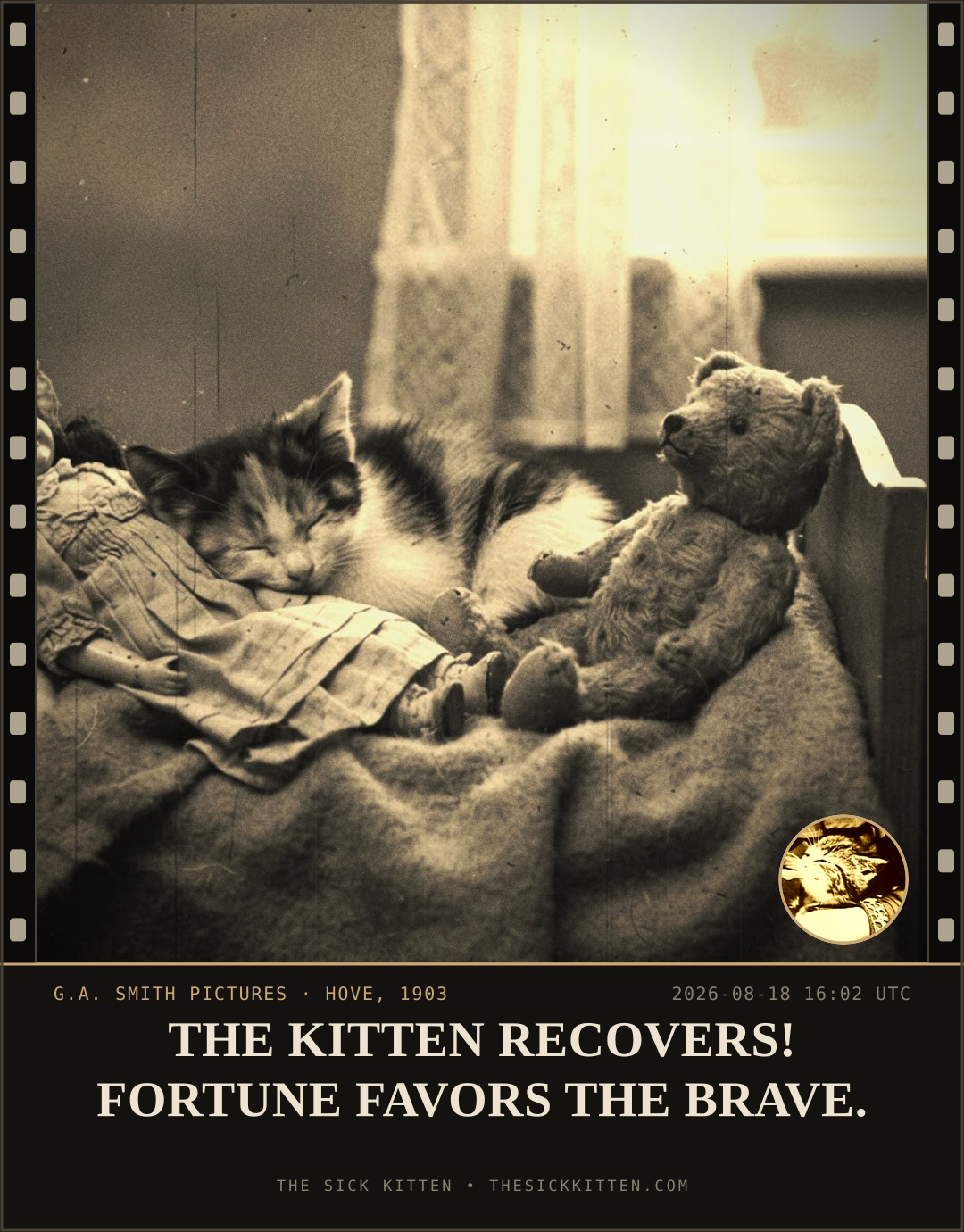 The Sick Kitten, frame no. 938: THE KITTEN RECOVERS! FORTUNE FAVORS THE BRAVE.